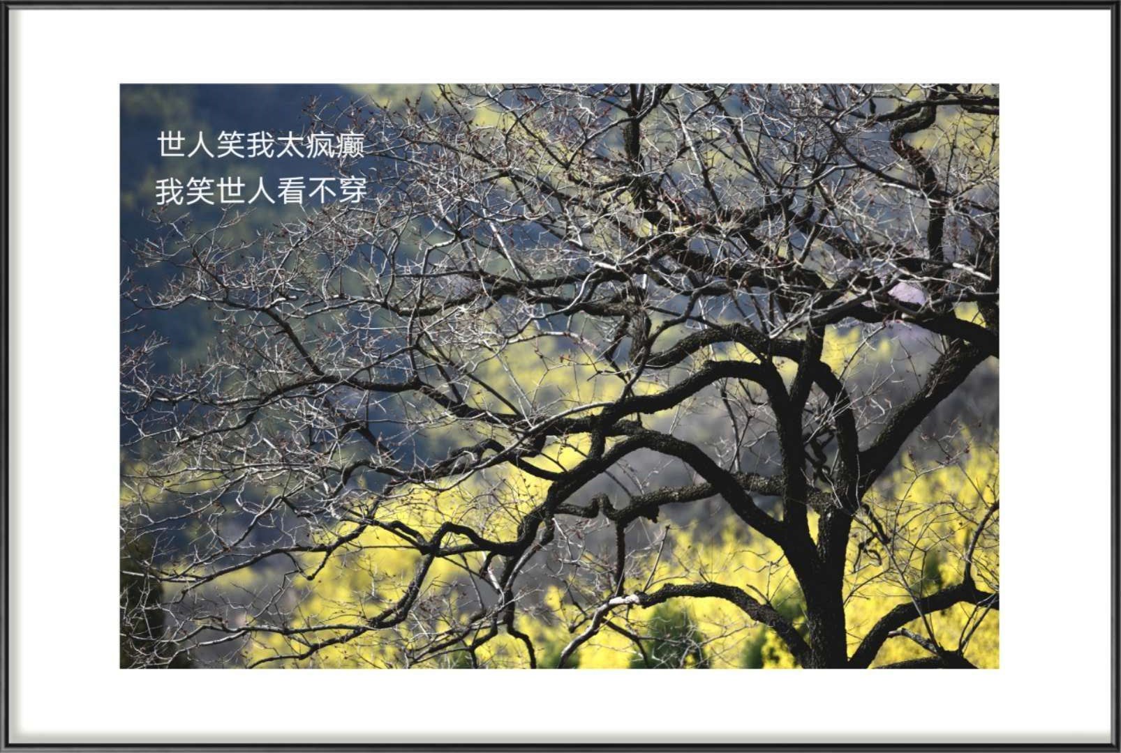 微信图片_20200406092818.jpg