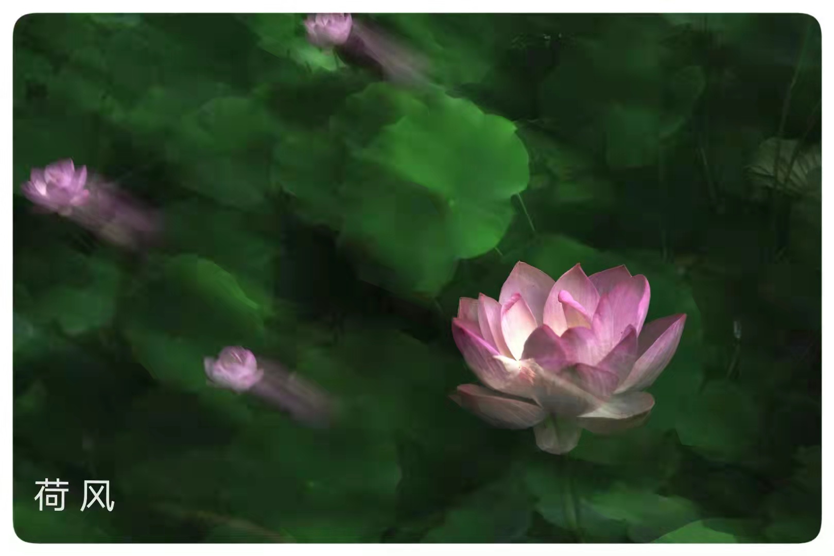 微信图片_20211008101615.jpg