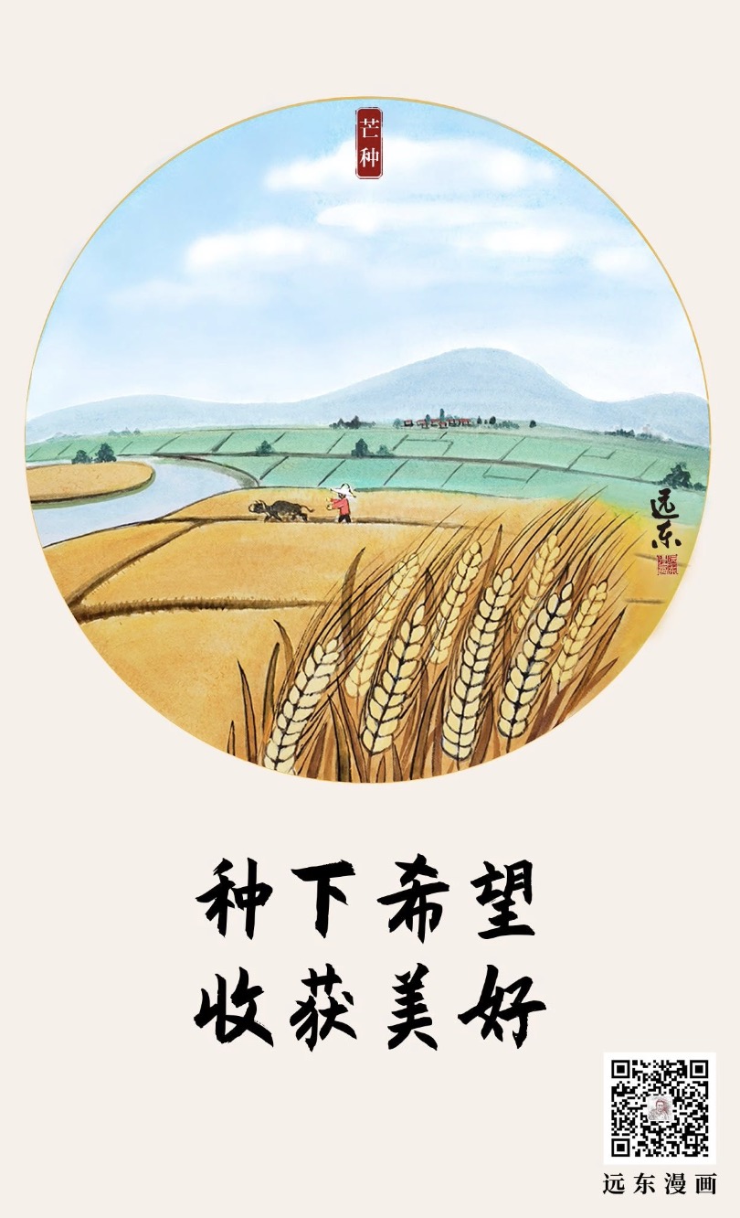 有收有种芒种忙