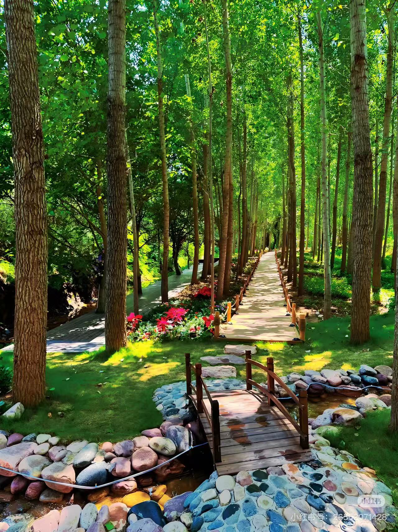 “邢”色“葱葱”的故事