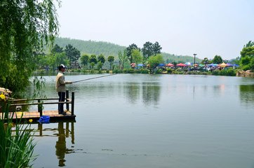 1542246490119206.jpg t01b48df63c8647486e.jpg