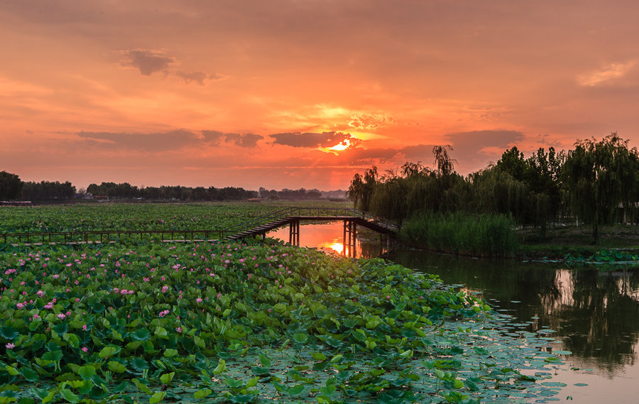 1542246620128492.jpg 36689483_1406264626679_mthumb.jpg