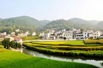 1542246691837828.jpg t01dc8f8d945a132207.jpg