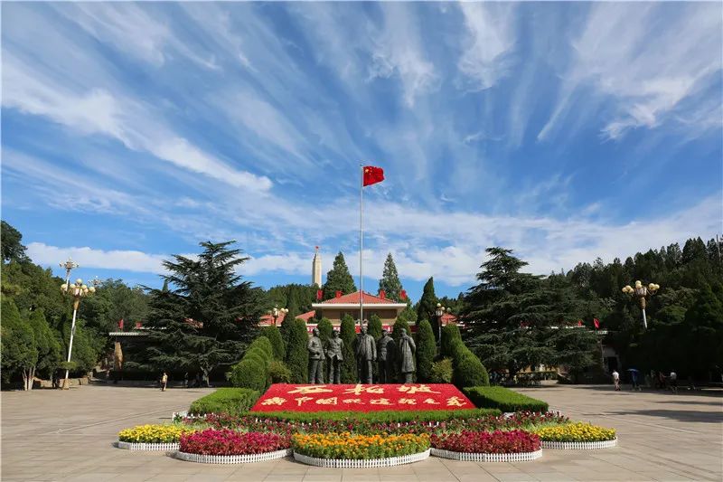 853.jpg