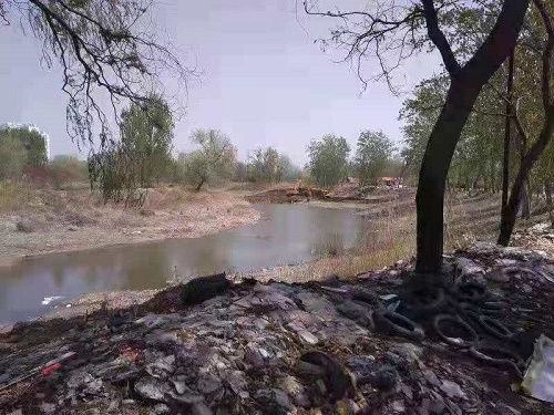 1621185181239859.jpg 3.jpg