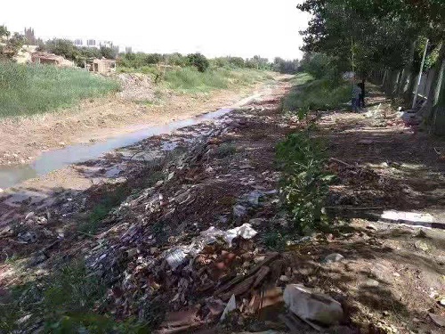 1621185205360262.jpg 4.jpg