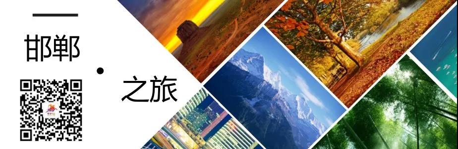魏县热带植物园梦幻时空节盛大开启