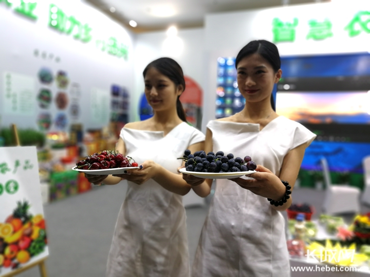 第五届石家庄旅游交易会开幕展示智慧旅游等主题