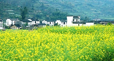 河北省六个村落上榜2018年中国美丽休闲乡村名单