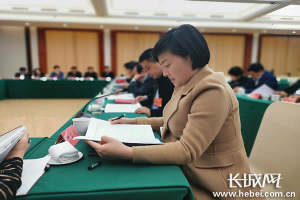 【2020河北两会声音】何金花代表：欢迎大家来邯郸参加省园博会