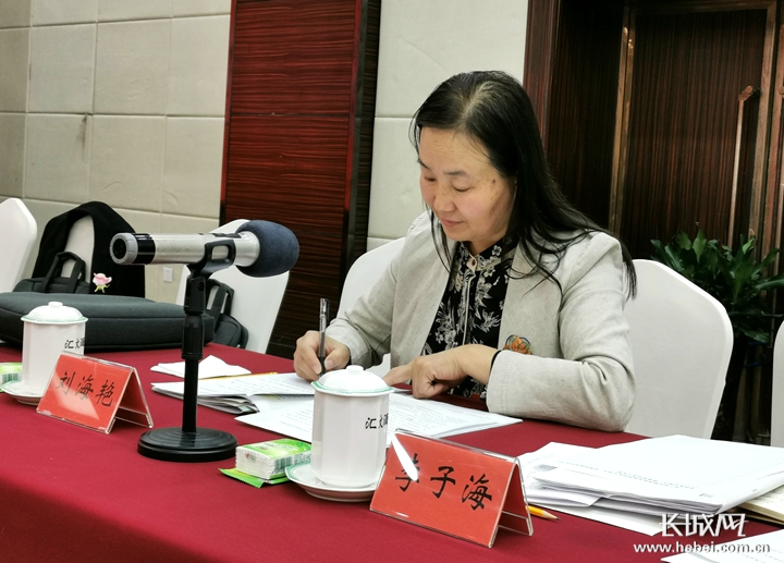 【2020河北两会声音】刘海艳代表：让更多的人认识丰宁布糊画