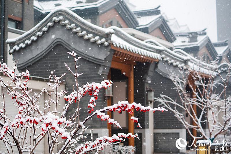 河北保定：华中小镇银装素裹春雪美如画